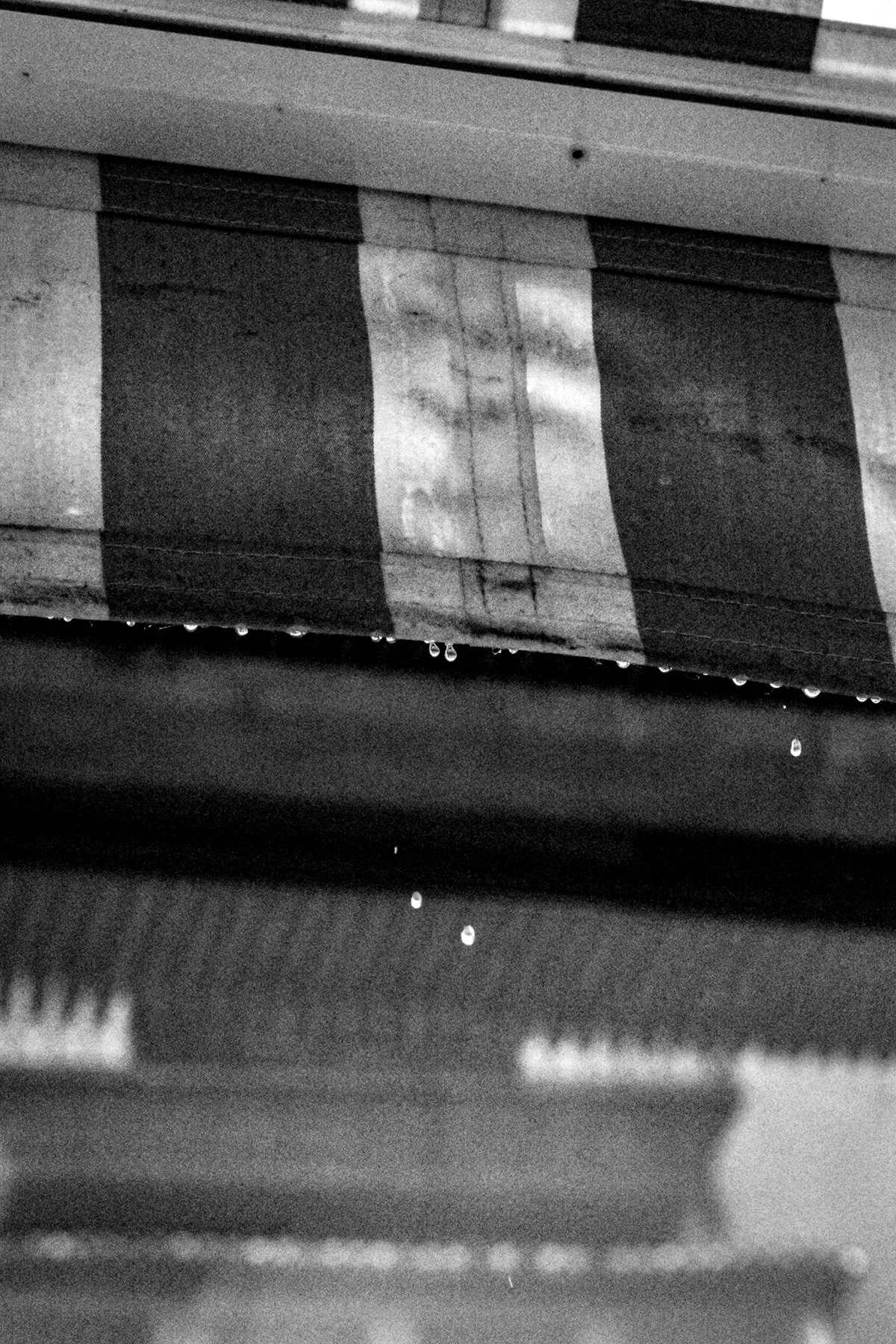 black and white Candid Photography cityscape photography mallorca palmademallorca raining street photography Umbrella