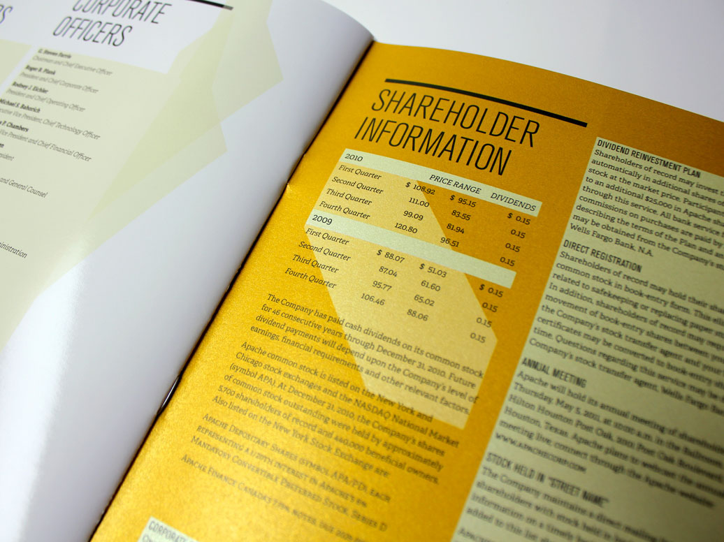 Investor Relations annual report information graphics