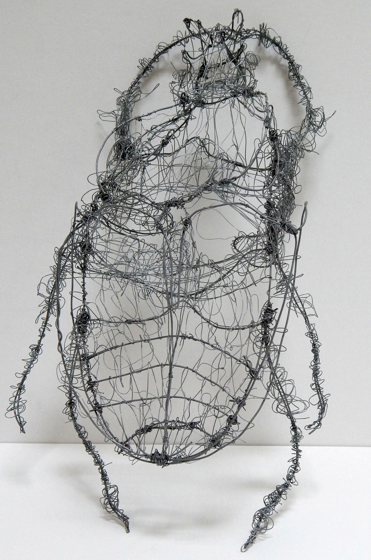 risd wire beetle sculpture Lasch  steel 3D
