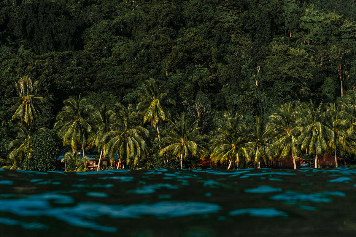 Island malaysia Ocean prints thalassophile tioman water sunset texture beach