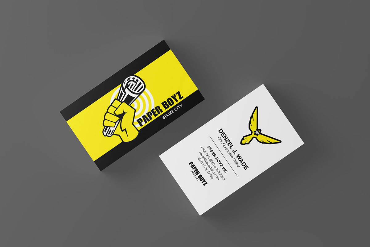graphic design  design business card branding  brand Icon logo belize newspaper fist