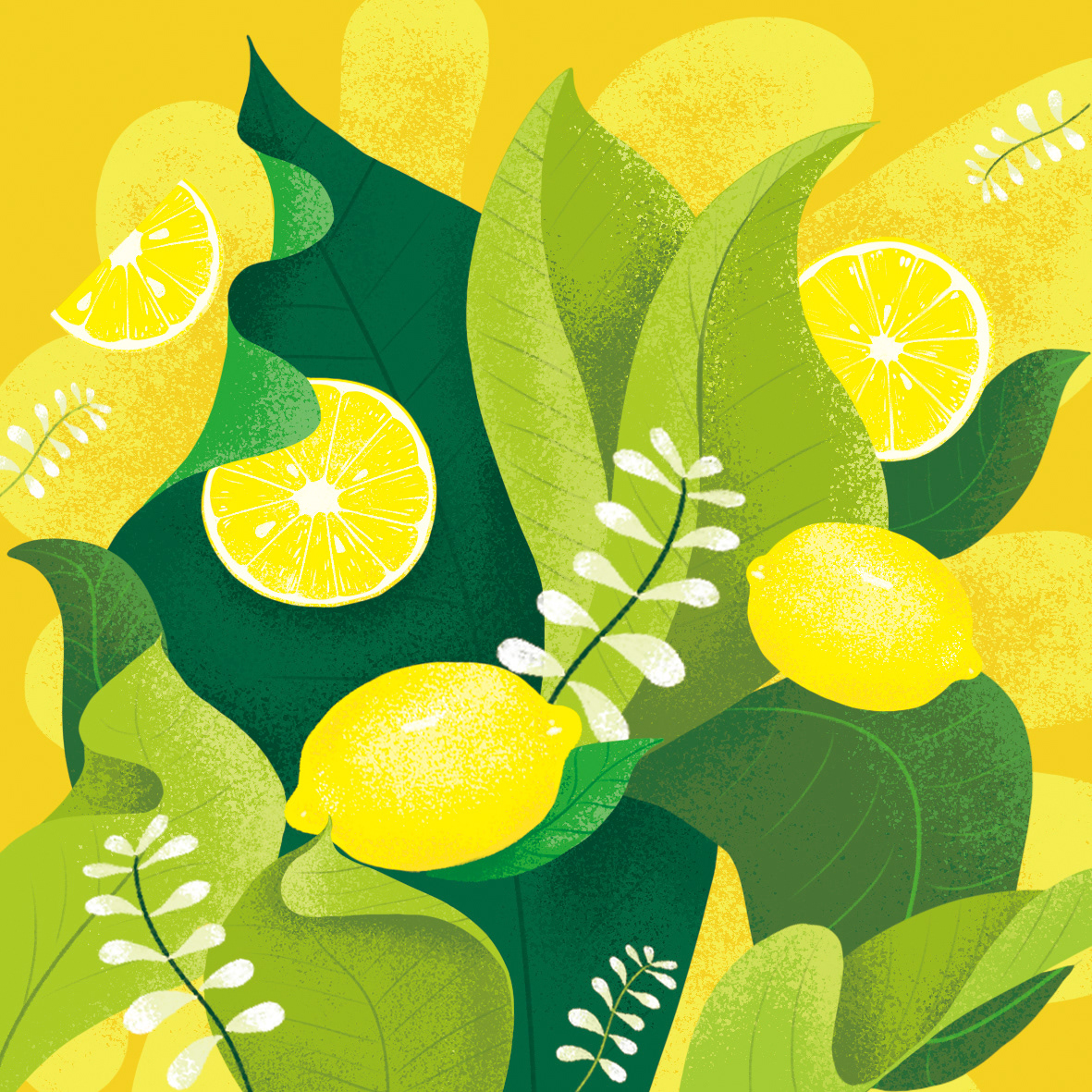 水果插画 水果 植物 西柚 茉莉花 水蜜桃 茶叶 柚子 柠檬 果冻包装