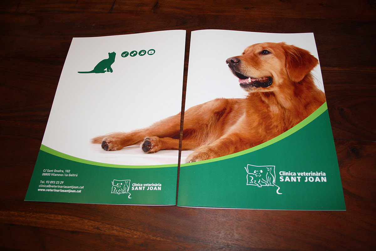 clinica veterinaria rediseño web carpetas papel de carta web responsive worrdpress montse barcons lamardecreatius