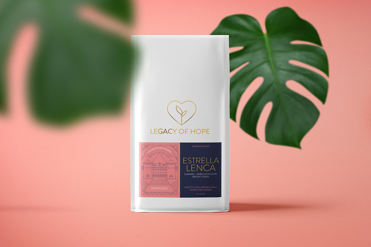 branding  Coffee graphic design  Logo Design package design  Packaging