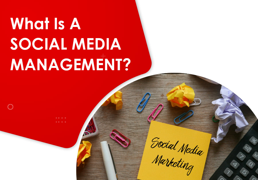 what is social media management