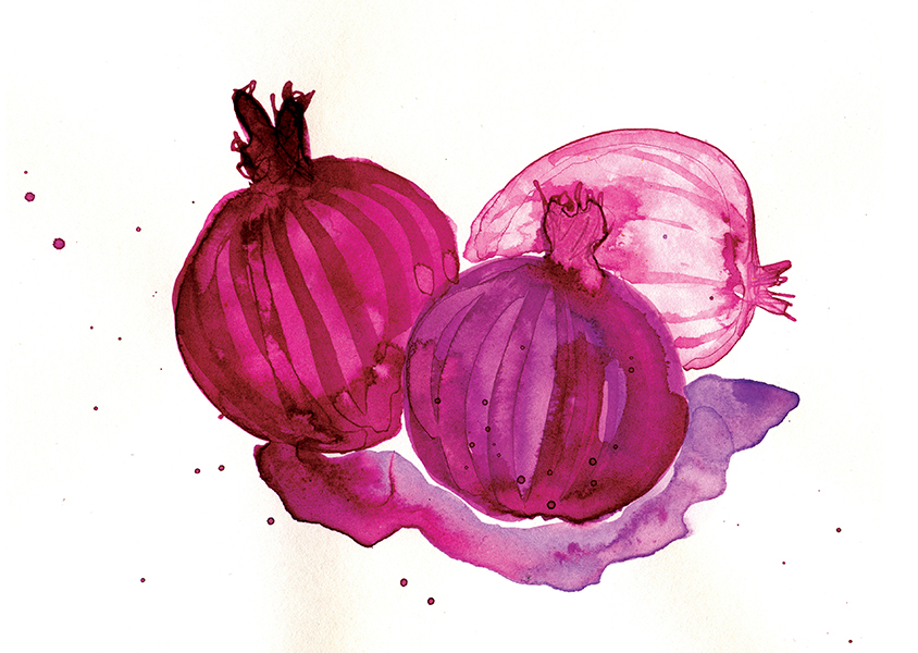 food illustration  painted  fish   almonds red onions  olive oil  oranges illustrated