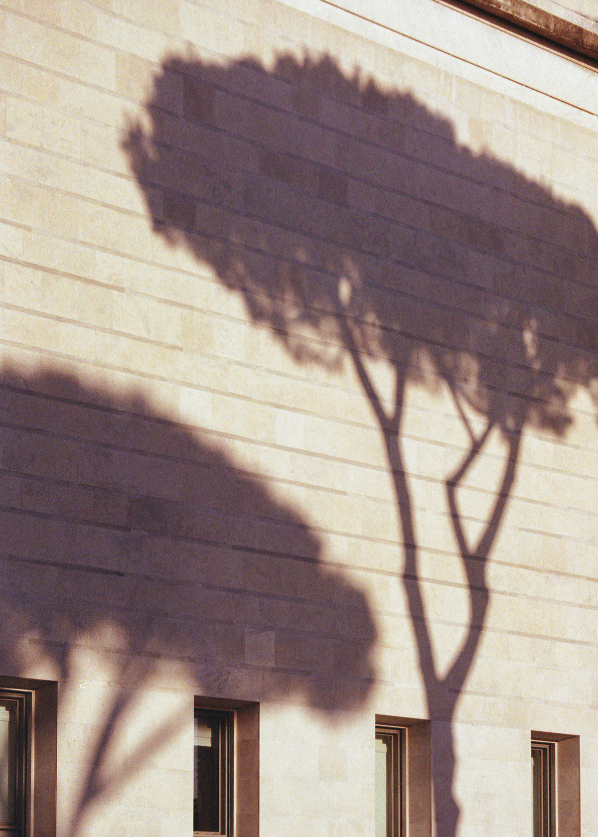 architecture architecturephotography Rome eurdistrict composition Minimalism analogphotography   35mm building romearchitecture