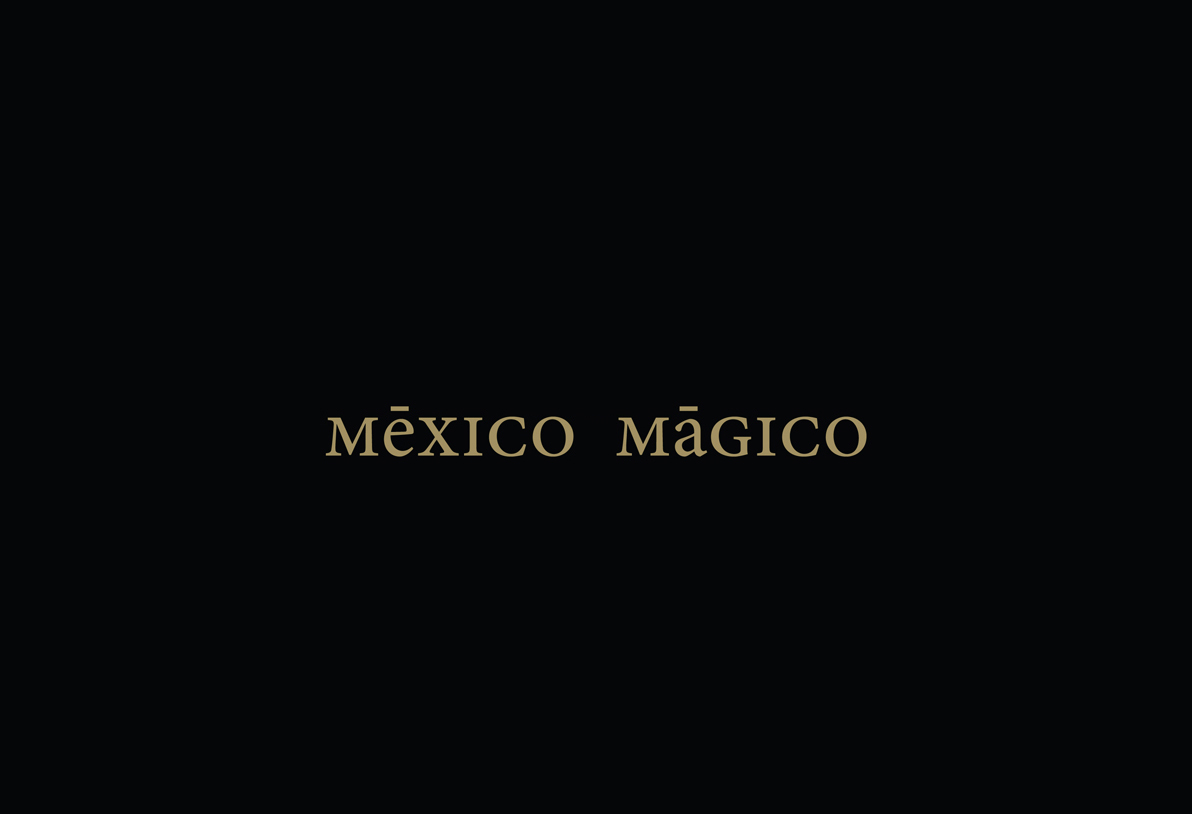 mexico Mexican mexicandesign gold GoldFoil printart pattern Patterns black