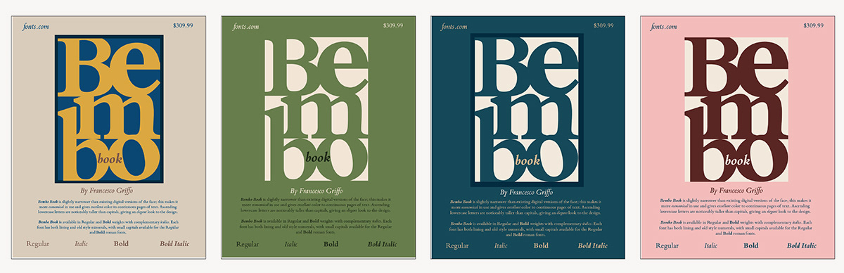 adobe illustrator design digital illustration poster sketch typography  