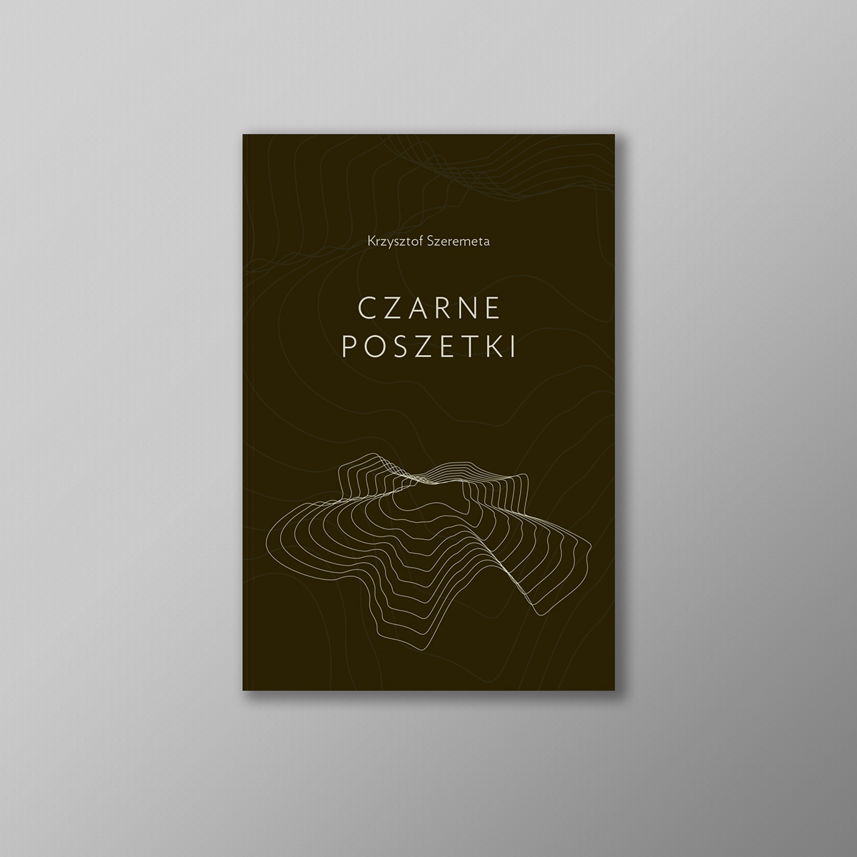 Poetry  cover typography   Minimalism book print publishing   cracow lodz