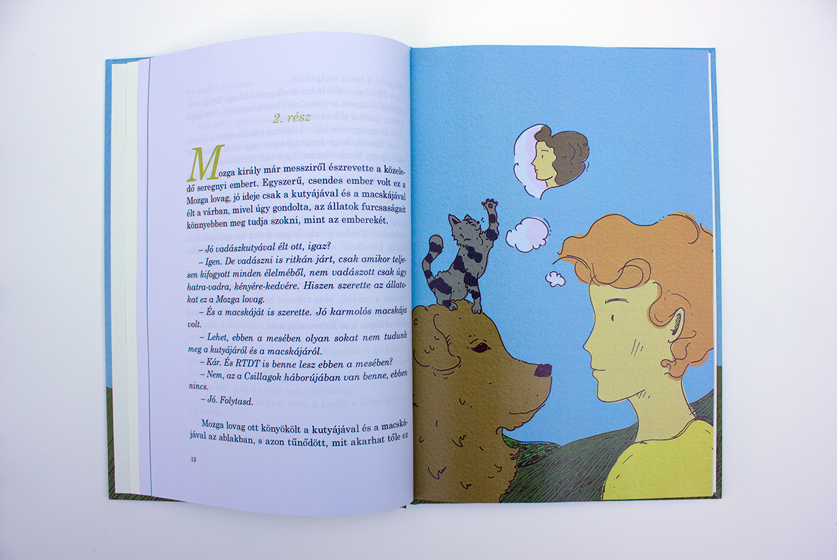 tale children's book Picture book hungarian flat colors