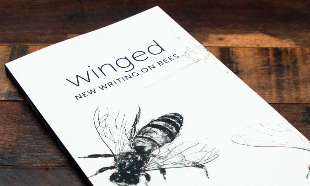 Book Cover Design bees Portland Oregon
