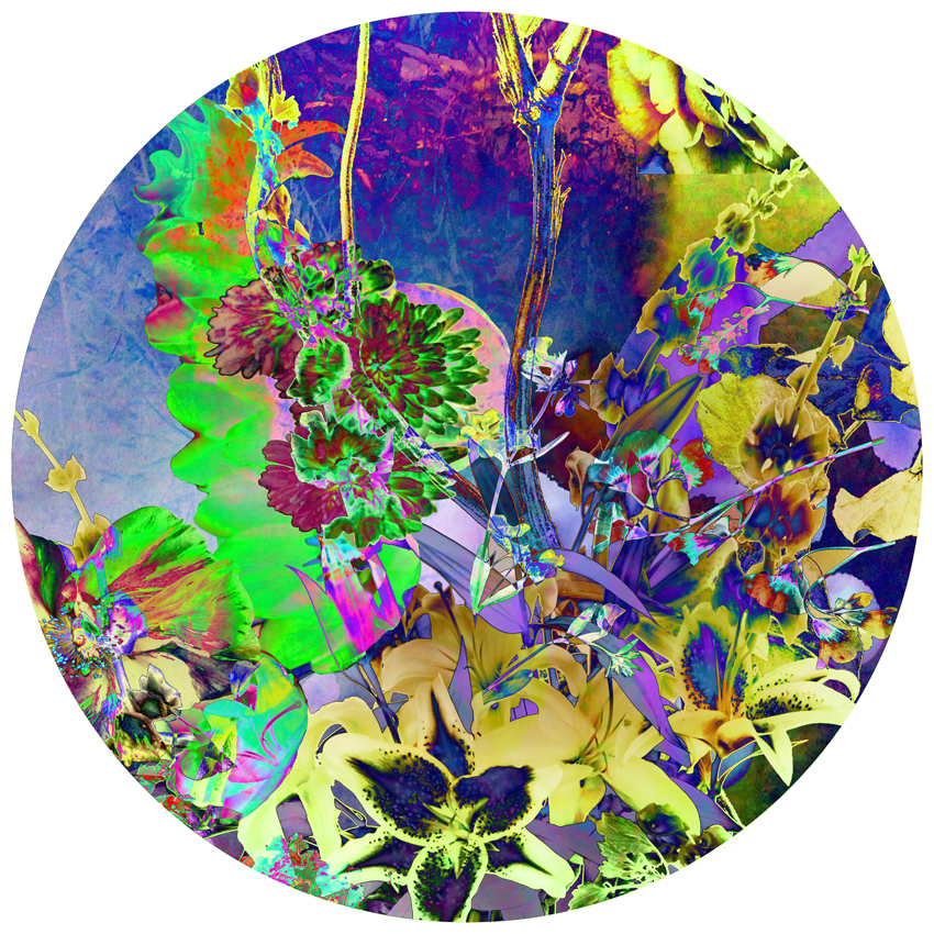 flower Plant abstract surreal manipulated conceptual neon LILA pink blue water Flowers lily orchid Roses