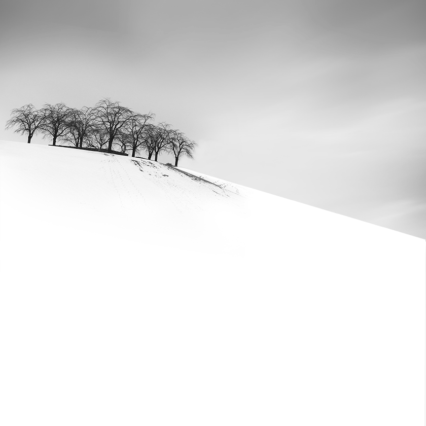 snow scapes FINEART black and white