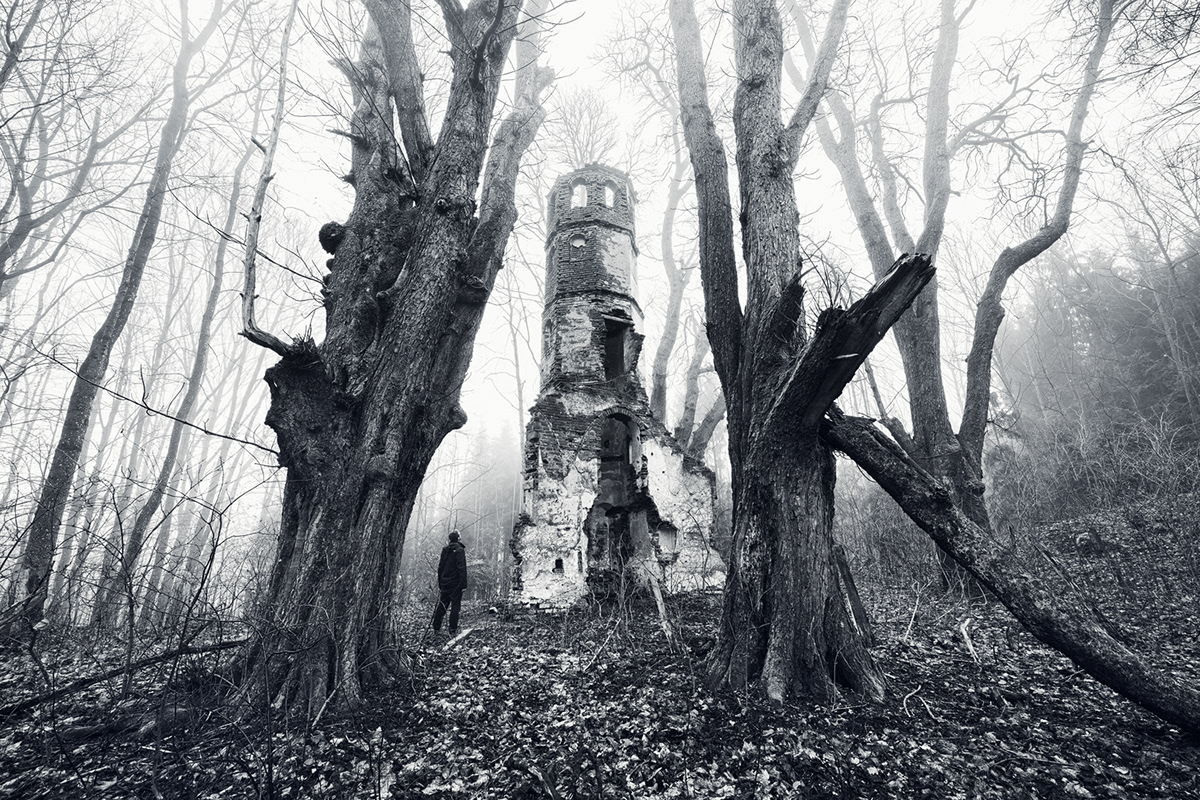 abandoned broken building Castle dream fog forest lost Nature ruin