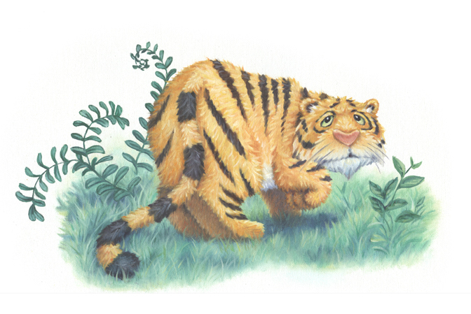 children books FOX tiger jungle