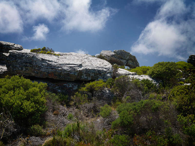 Landscape landscape phtographer outdoors south africa cape town