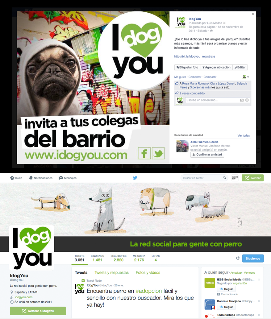 www.idogyou.com social network Verde green red social dog Web ux Margarito Estudio