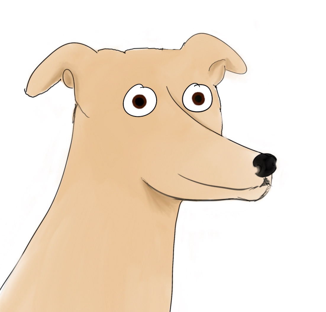 greyhound dog sighthound doodle