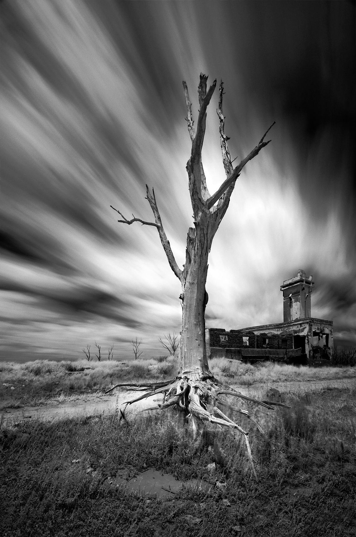 under water salt lake surreal trees bw argentina Carhue disaster atlantis dead trees apocalyptic buenos aires ghost town long exposure