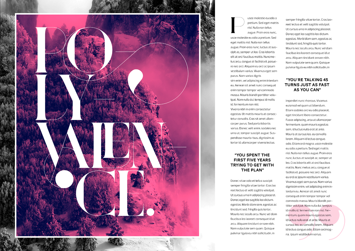 font fonts Typeface typefaces magazine Didot bodoni Ligatures swash Swashes glamour exuberant class feminine Display