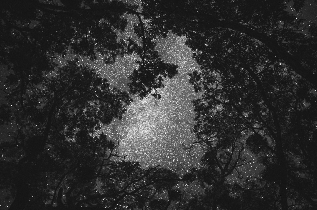 Landscape Nature time stars pictorialism night fine art trees monochrome mood