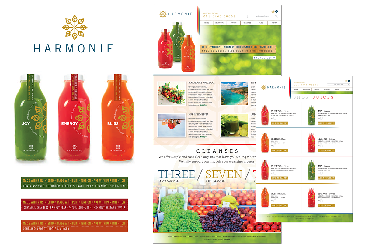 Juice company Website Design Logo Design conceptual