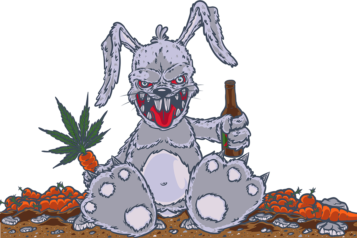 rabbit bunny carrot weed vector vectoria ilustracion