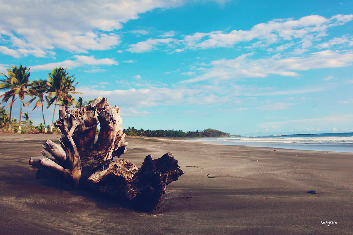 Wander In Paradise videography Costa Rica tourism video Tropical creative human people Sun beach wanderlust vintage