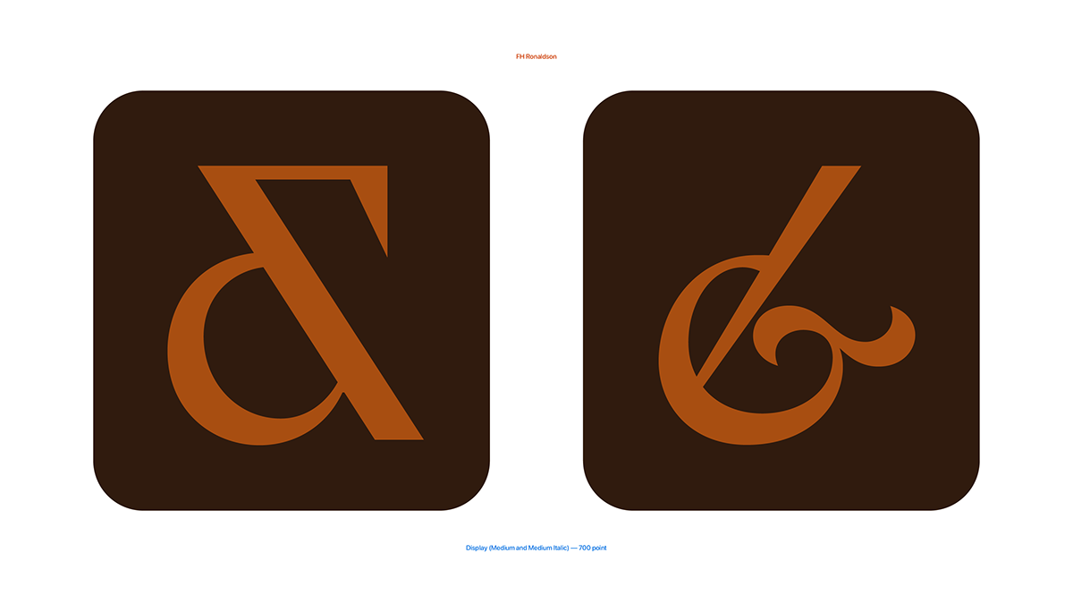 design font glyph glyphs graphic design  logo serif type design Typeface typography  