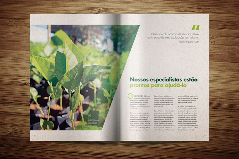 eco Ecology Nature natural folder diagramação editorial design portfolio print environment Meio Ambiente Verde green