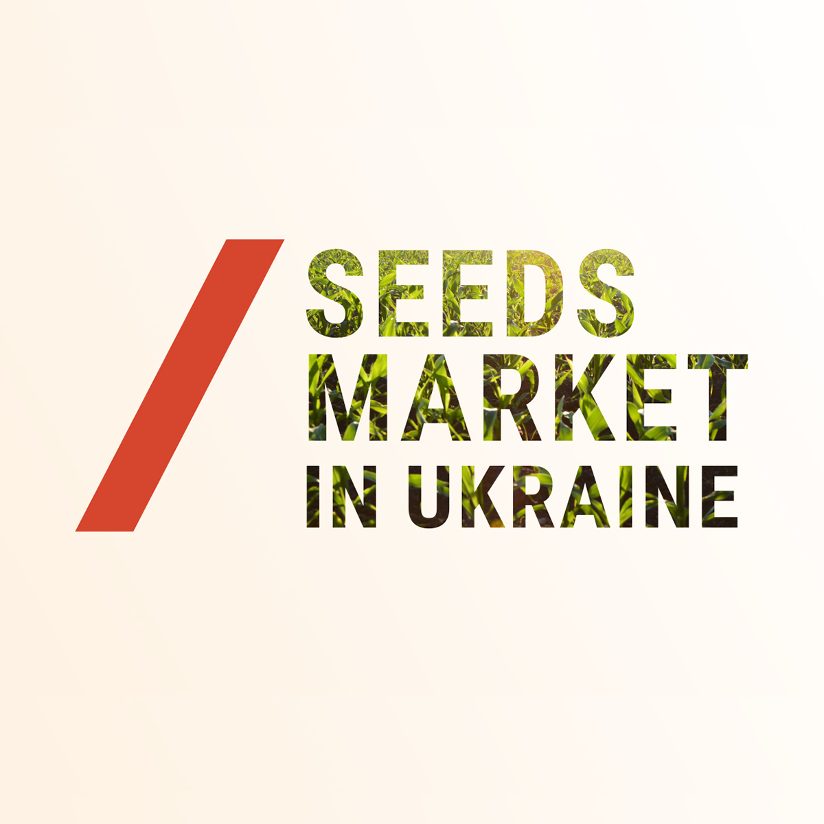 presentation agriculture ukraine b2b seeds