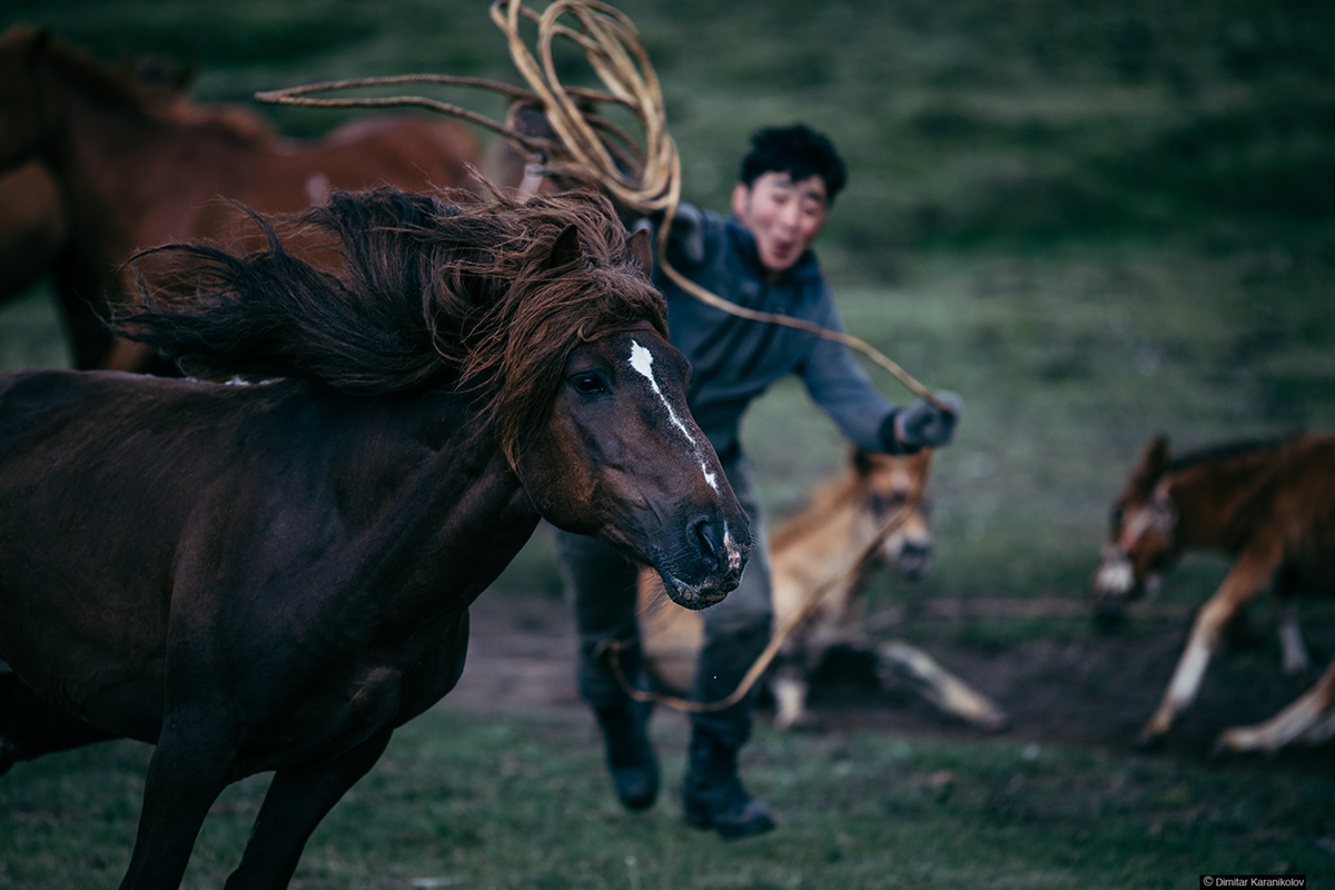 travel photography Travel prhotography mongolia kazakh eagle hunter nomads eagle ger tribe portrait