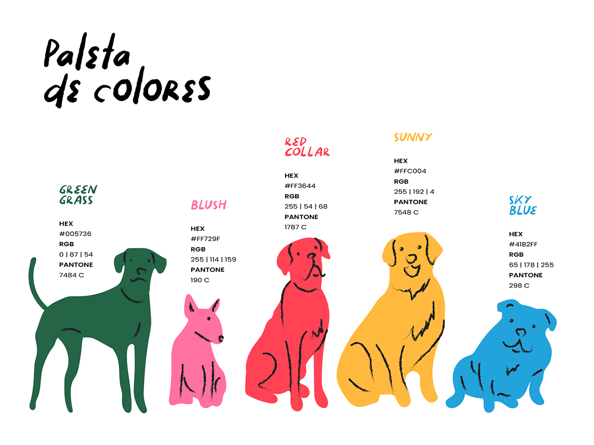 dog illustration brand identity campaign Illustrator visual identity Graphic Designer