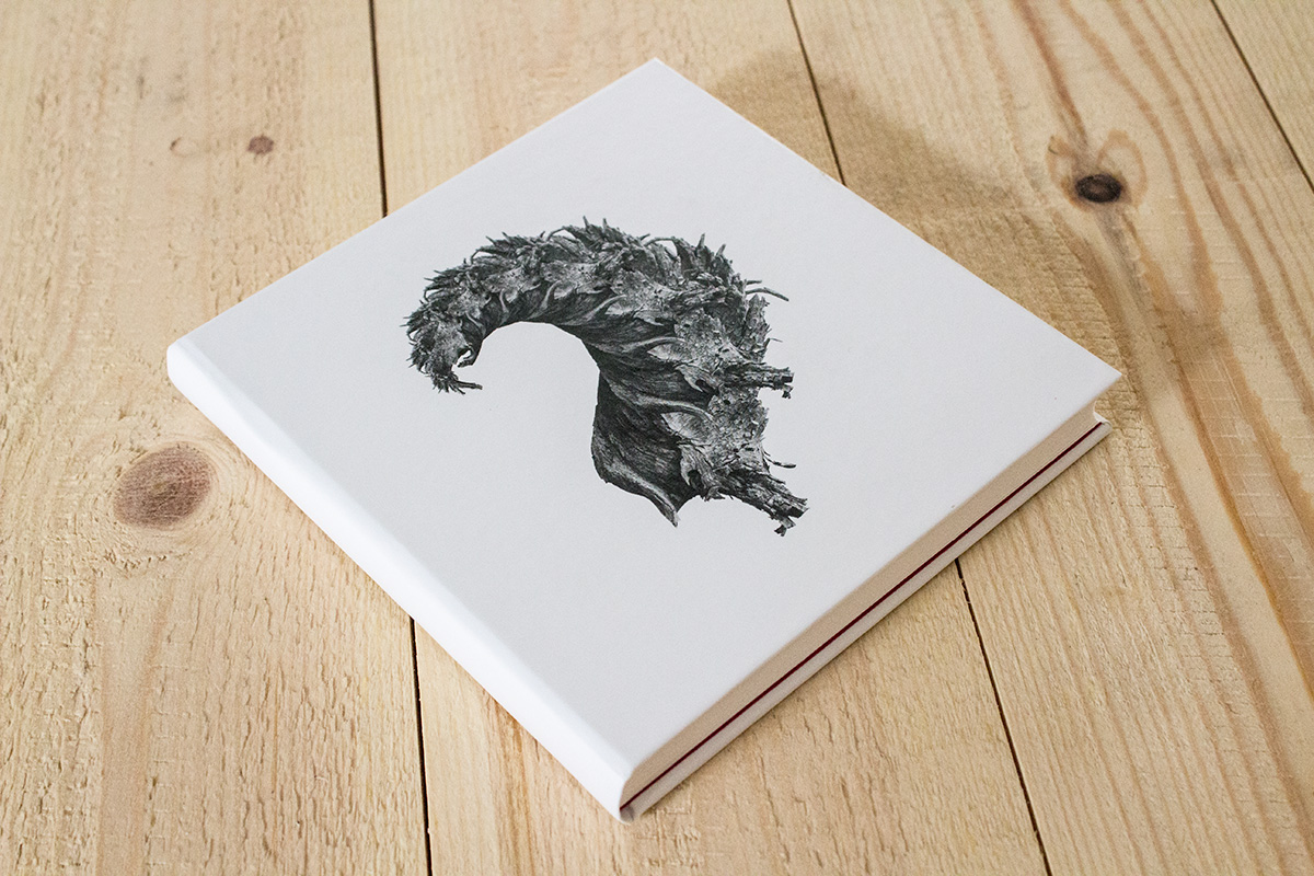 un bolso fani zaragoza Estudio Ductus fractals wood illustration festival asalto pyrenees Creative Bookbinding original binding Bookbinding encuadernación creativa