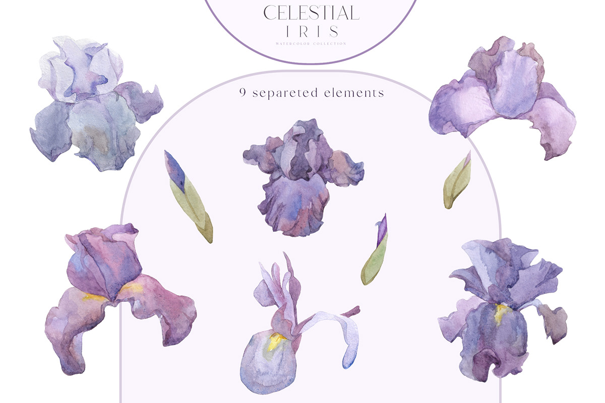 botanical clipart flower Flowers frames iris painting   vintage watercolor Wreaths