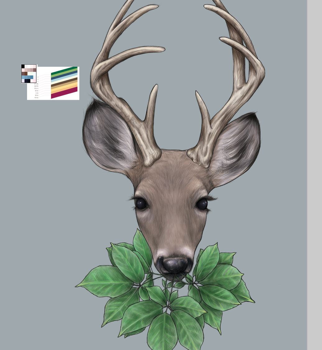 deer poster print
