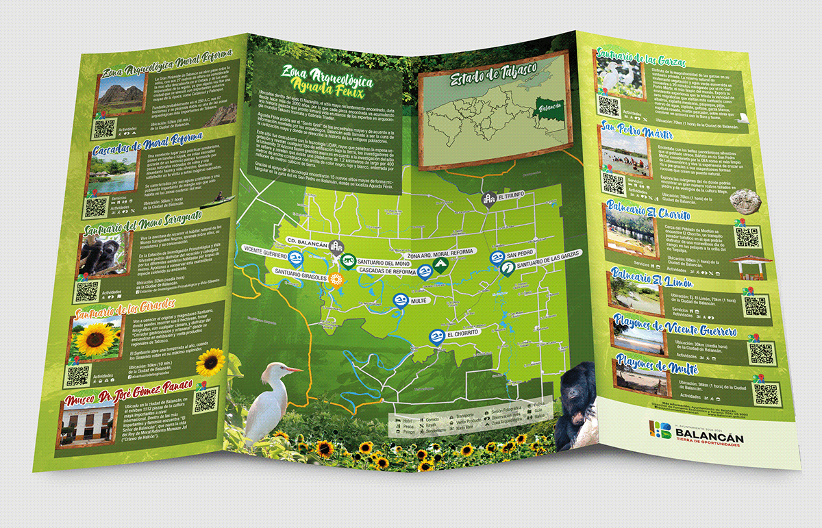 Balancán girasoles triptico Turismo cuadriptico folleto Mockup quadriptych turism