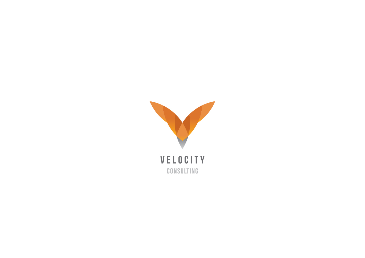 logo Logo Design Corporate Identity verg verg advertising matt vergotis velocity
