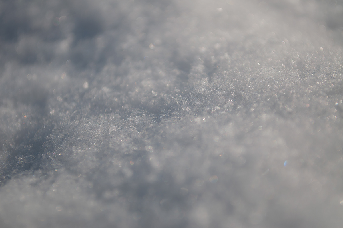 snow winter White monochrome