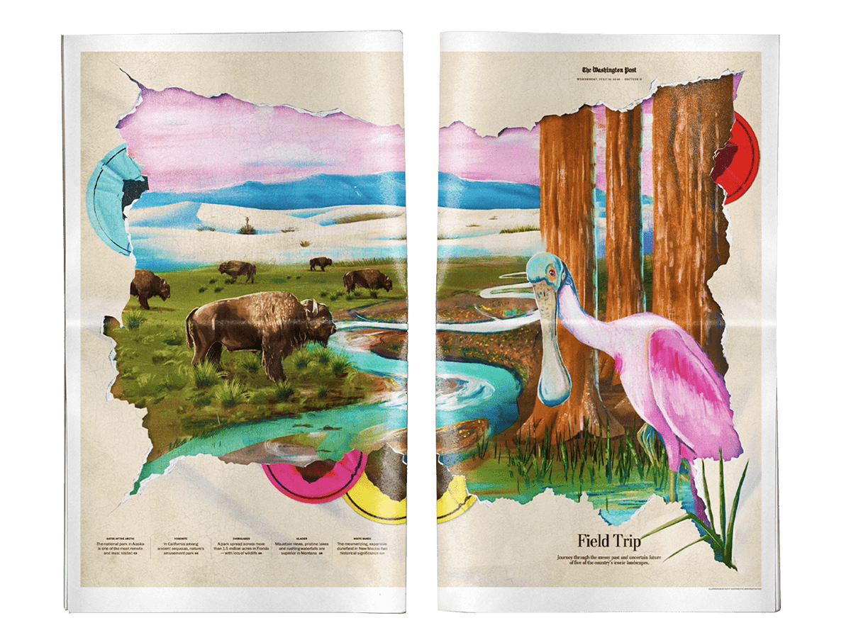 animal nature illustration Historical Illustration editorial key arts Podcast cover