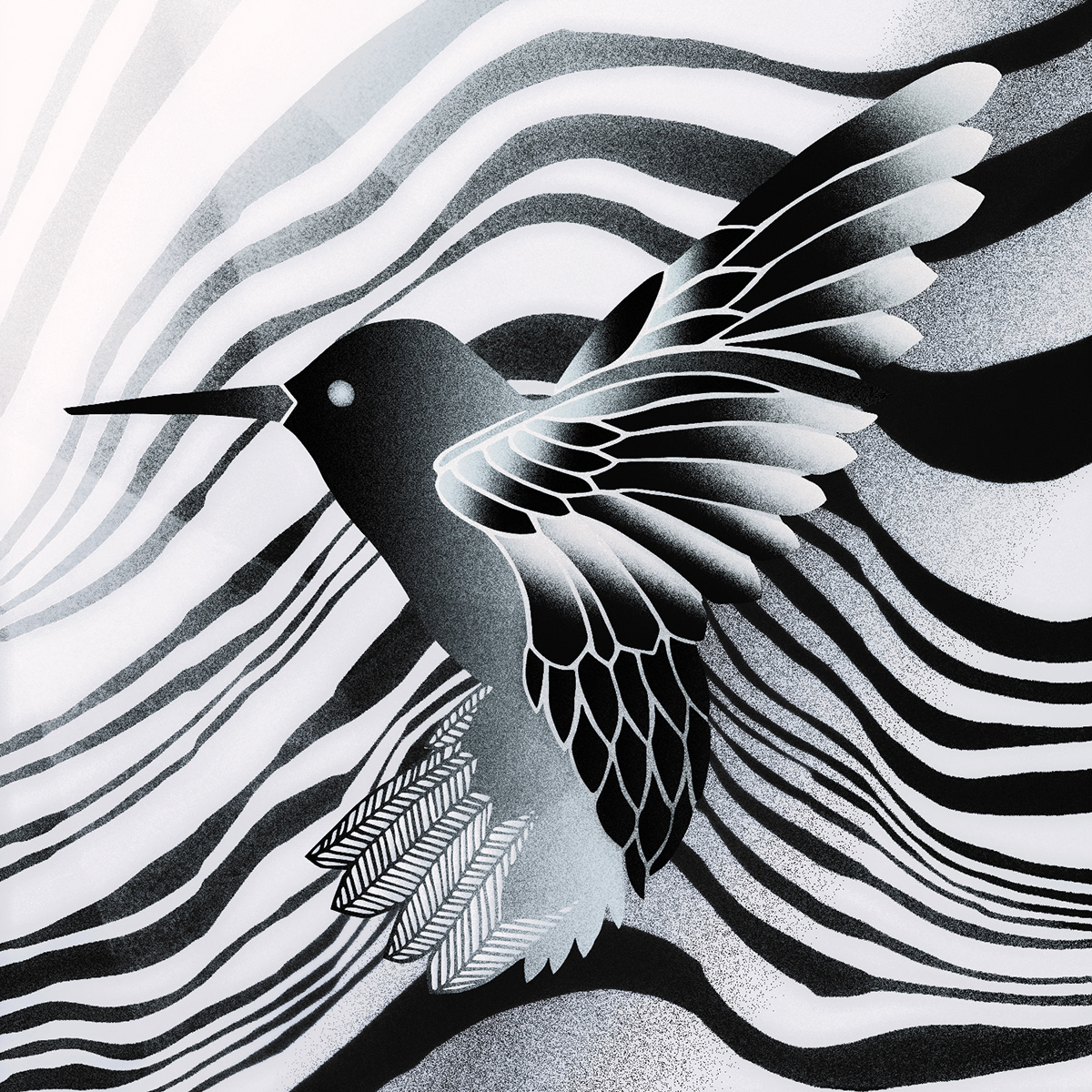 animals bird black and white feathers graphic graphic design  ILLUSTRATION  psychedelic silver waves