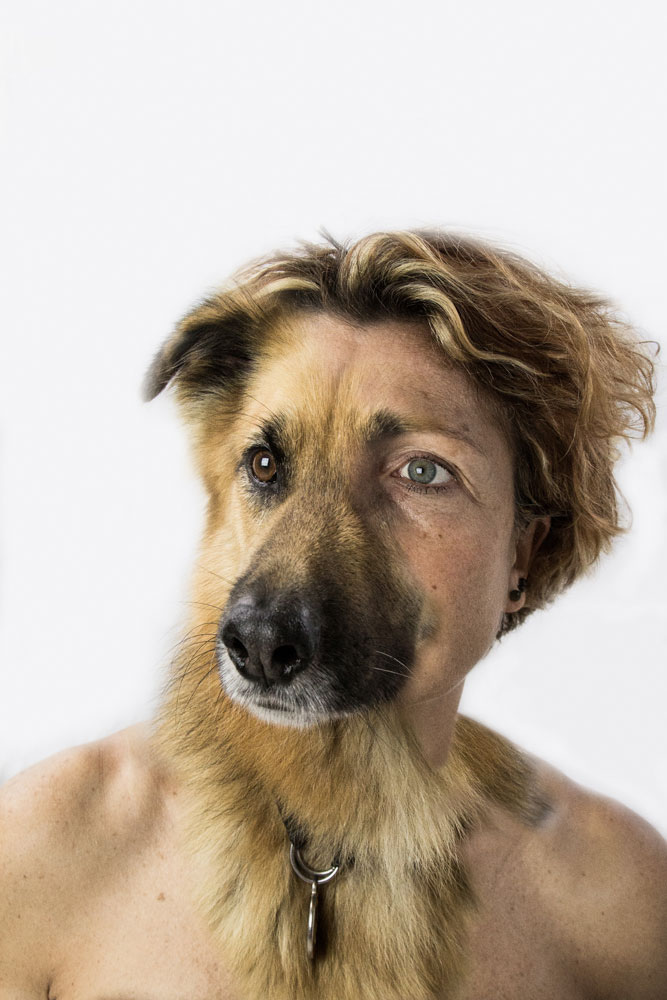 Hybrid Portraits  ritratti ibridi dog animals portait hybrid dogs Pet pets Finearts