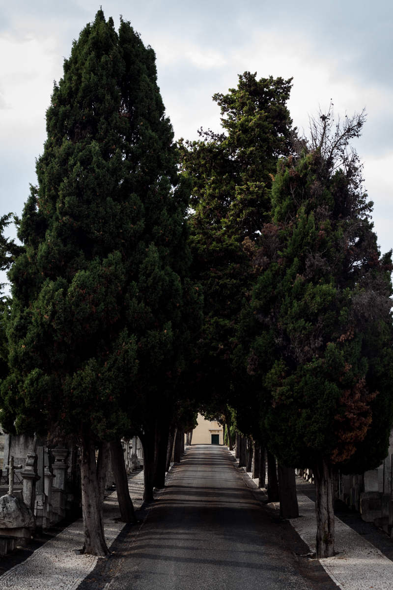 cemitério alto sao joao graveyard cemetery lisboa