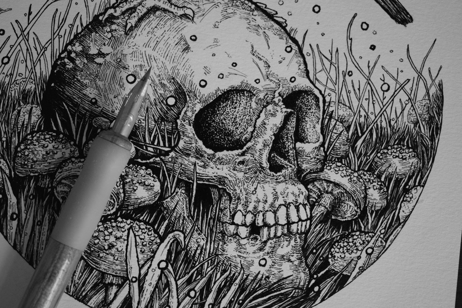 ILLUSTRATION  skull crow caveira Ilustração Drawing  etching desenho blackwork