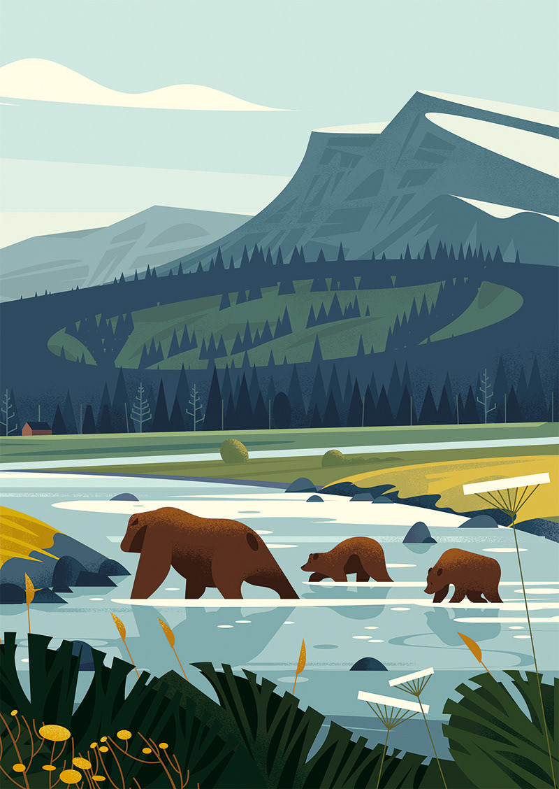 america wildlife Yellowstone National Park magazine Landscape
