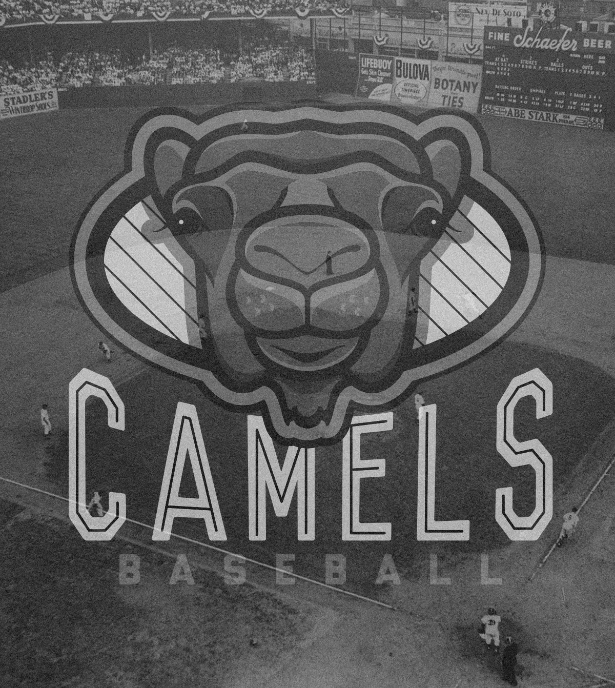 Illustrator adobe camel baseball logo photoshop apparel