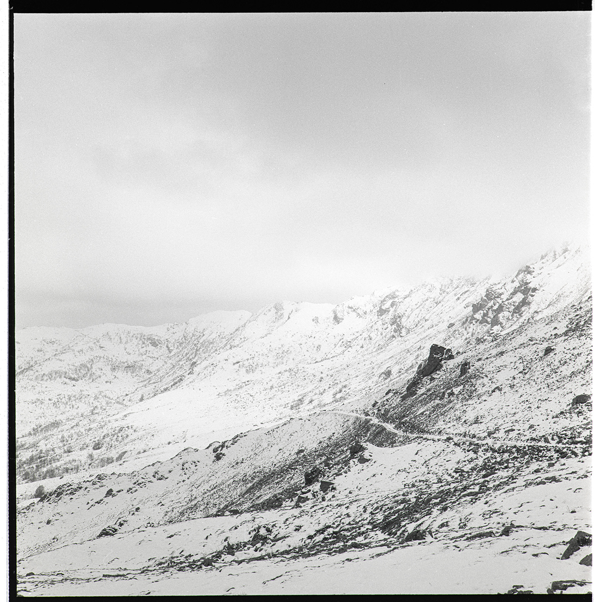 Rolleicord film photography 120mm Landscape 6x6