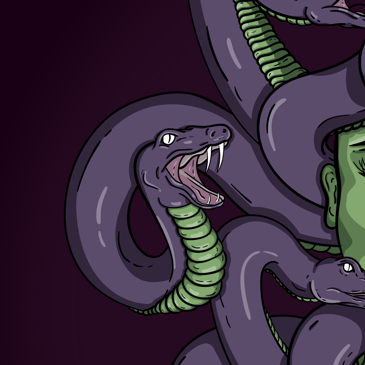 medusa snakes Illustrator ILLUSTRATION  adobe wacom mythology