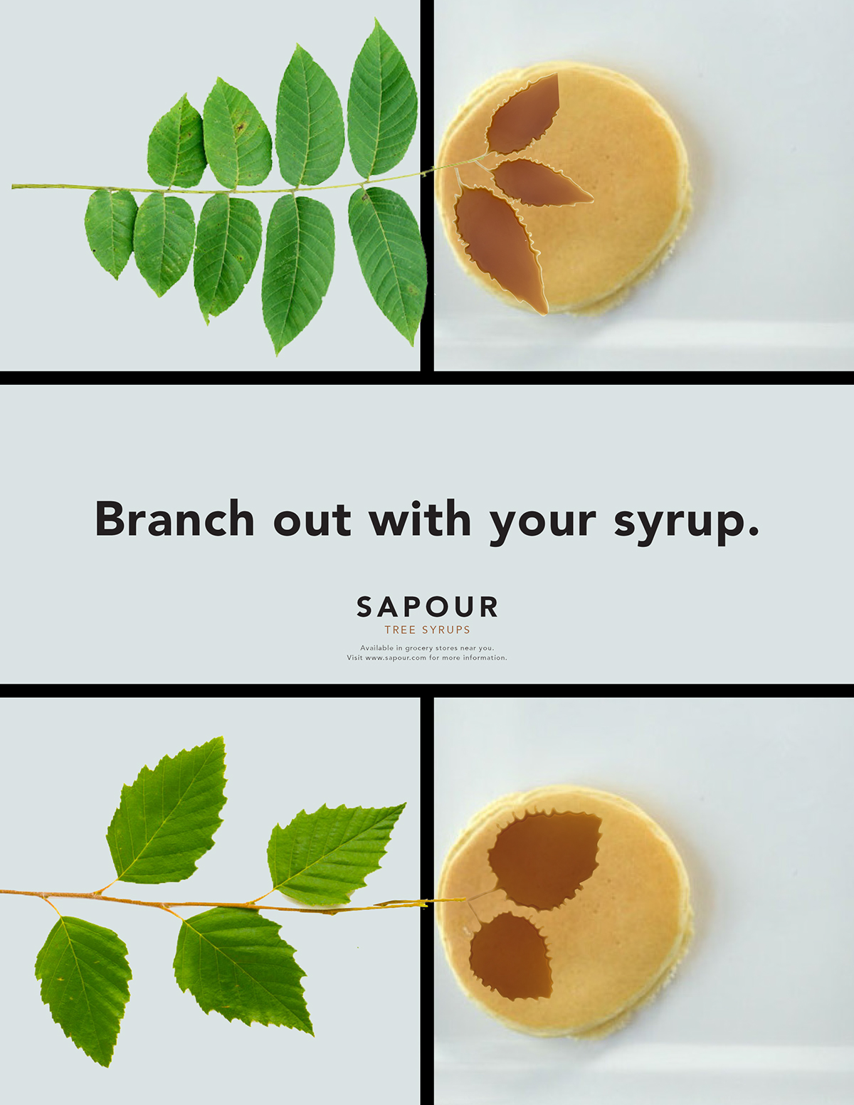 syrup Tree  tree syrup maple syrup syrup alternative bottle design Beautiful upscale high-end sophisticated bark Nature breakfast pancake label design
